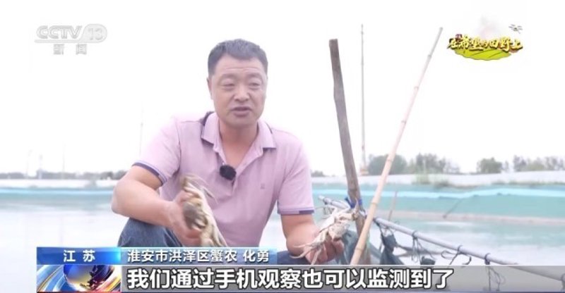 泗洪水产养殖行业动态：绿色生态与科技升级同行