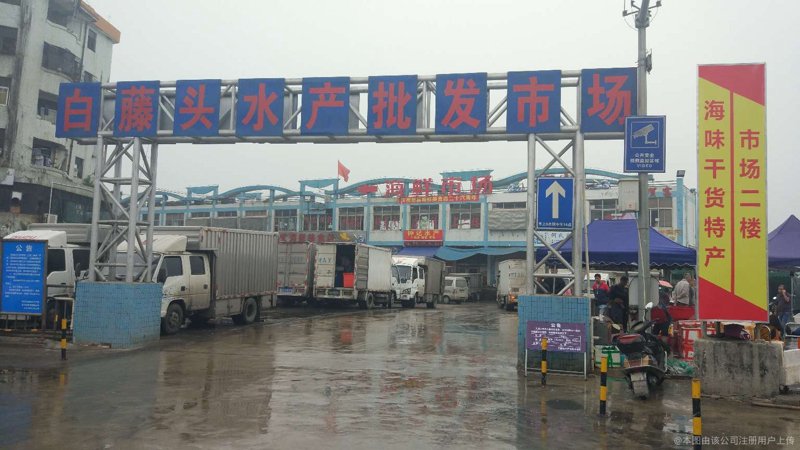 水产行业新动态:刘育芳水产引领潮流