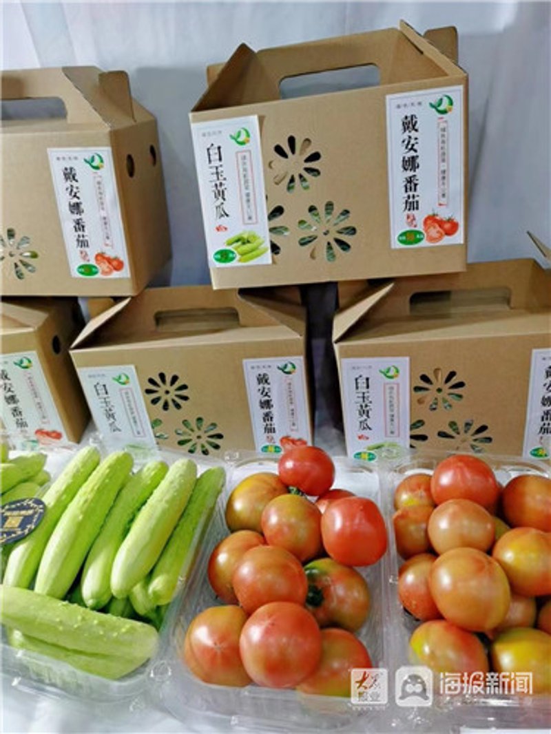 淡水鱼养殖行业动态:刘育芳水产引领创新潮流