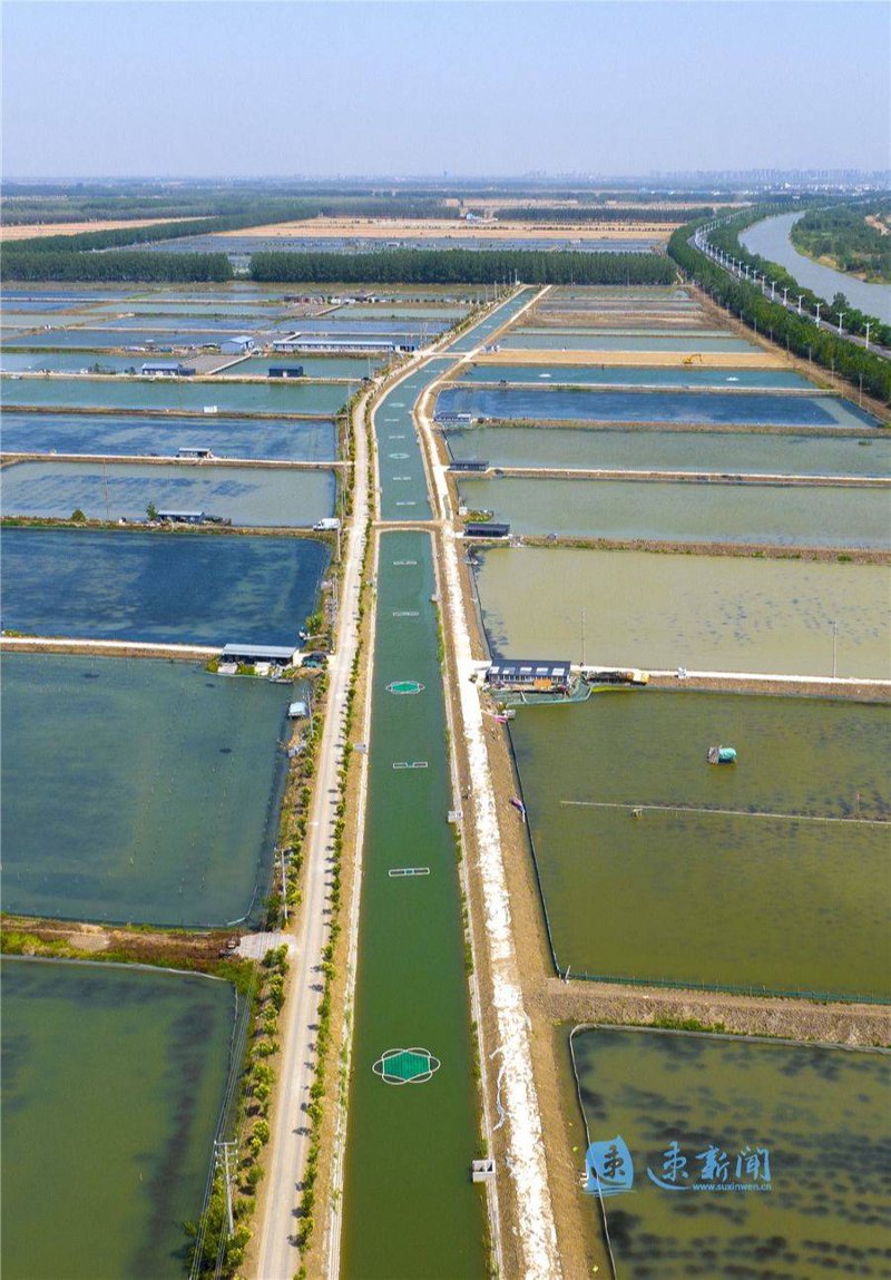 水产市场的风云变幻：刘育芳水产引领新篇章